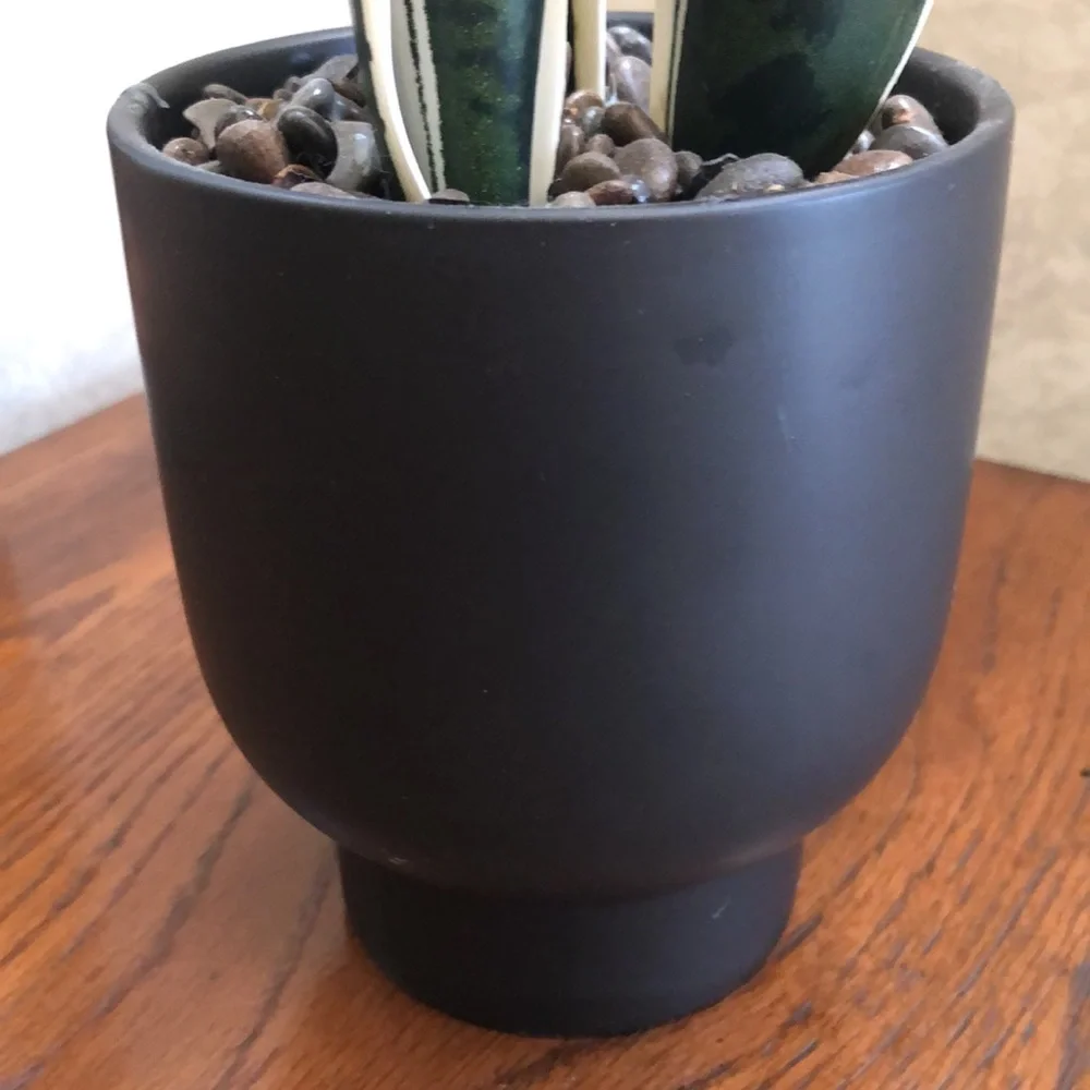 Faux snake plant in a ceramic pot. Pretty rocks with a sealed coating.